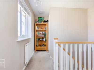 Picture 31